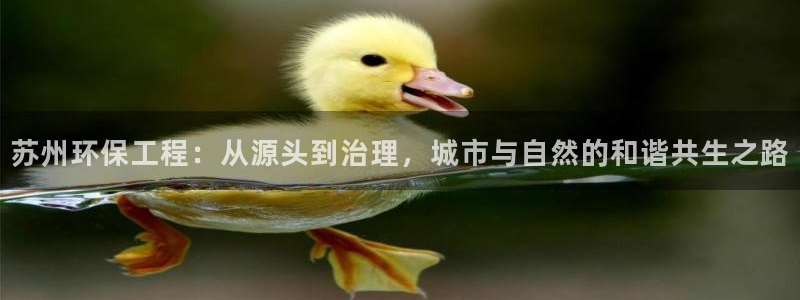 彩名堂旧版本：苏州环保工程：从源头到