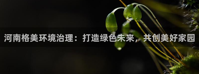 彩名堂改成什么名字了：河南格美环境治