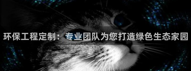 彩名堂计划官方客服：环保工程定制：专