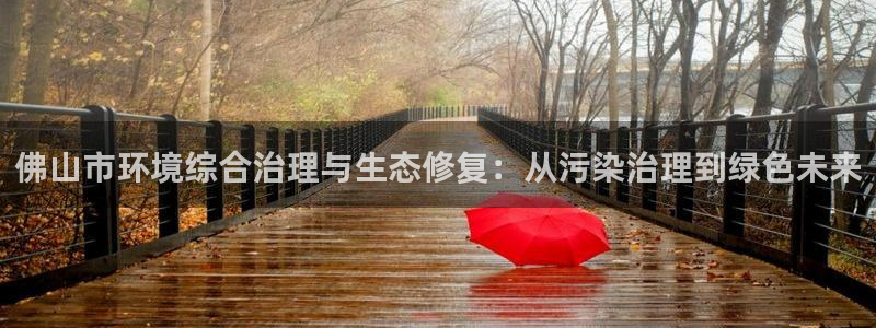 彩名堂975新版本：佛山市环境综合治理与生态修复：从污染治理