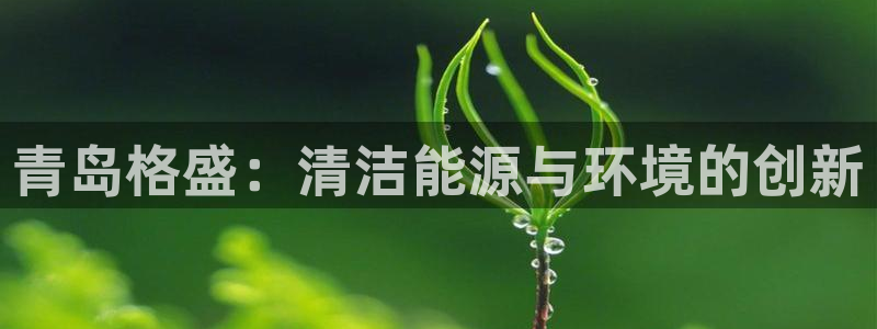 彩名堂安卓客户端官网下载安装：青岛格盛：清洁能源与环境的创新