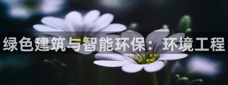 彩名堂客户端加拿大：绿色建筑与智能环保：环境工程